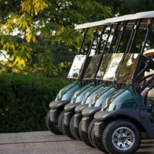 Golf Carts For Rent